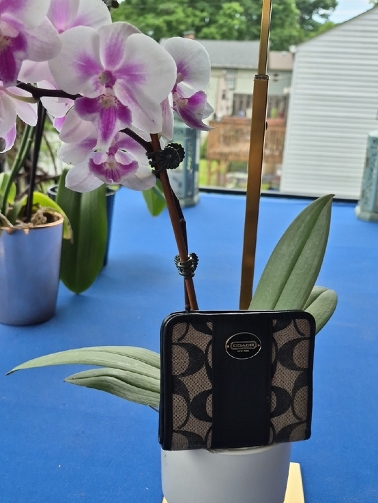 Coach Handbags - COACH SIGNATURE C JACQUARD & LEATHER Bi-Fold Snap Wallet 🎀 BLACK & TAN 🖤 GUC